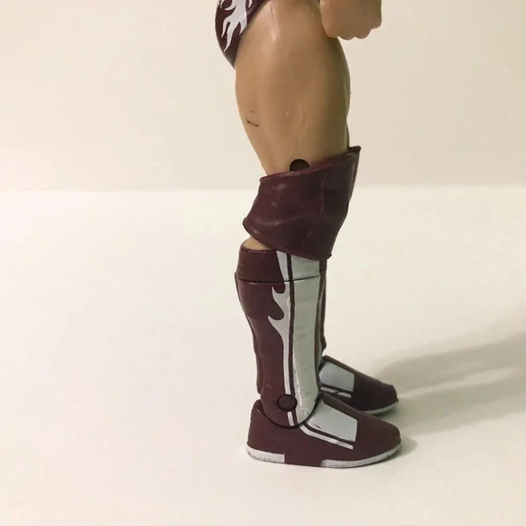 2011  Mattel WWE Wrestling Daniel Bryan Figure WWF WCW - Picture 14 of 16